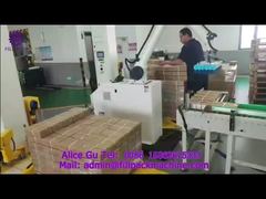 2078 P6 Μηχανικός Παλετοποιητής Χειρός Αναρρόφησης