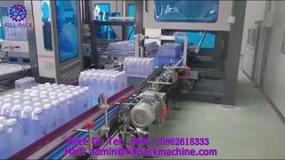 2306 P42 Gantry Palletizer