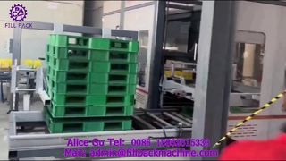 2307 P42 Γραμμή Παραγωγής Palletizing Gantry Packing Carton